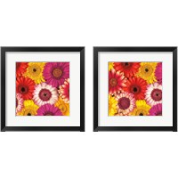 Framed 'Splash of Color 2 Piece Framed Art Print Set' border=