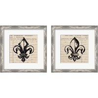 Framed 'Fleur De Lis 2 Piece Framed Art Print Set' border=