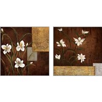 Framed 'Orchid Melody 2 Piece Art Print Set' border=