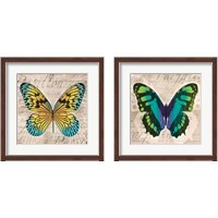 Framed 'Butterflies  2 Piece Framed Art Print Set' border=