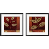 Framed 'Crimson Leaf Study 2 Piece Framed Art Print Set' border=