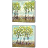 Framed 'Foxwood  2 Piece Canvas Print Set' border=