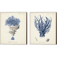 Framed 'Antique Coral in Navy 2 Piece Canvas Print Set' border=