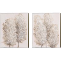 Framed 'Pampas Grass 2 Piece Canvas Print Set' border=