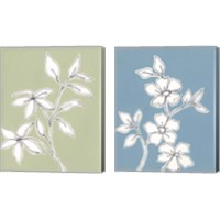 Framed 'Botanic Drawing 2 Piece Canvas Print Set' border=