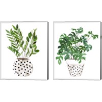 Framed 'Plant in a Pot 2 Piece Canvas Print Set' border=