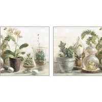 Framed 'Greenhouse Orchids on Shiplap 2 Piece Art Print Set' border=