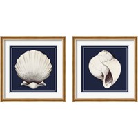 Framed 'Coastal Shell 2 Piece Framed Art Print Set' border=