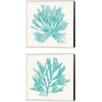 Framed 'Pacific Sea Mosses Aqua 2 Piece Canvas Print Set' border=