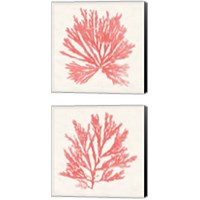 Framed 'Pacific Sea Mosses Coral 2 Piece Canvas Print Set' border=