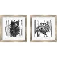 Framed 'Still Cat 2 Piece Framed Art Print Set' border=