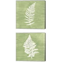 Framed 'Forest Ferns 2 Piece Canvas Print Set' border=
