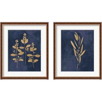 Framed 'Botanical Study Gold Navy2 Piece Framed Art Print Set' border=