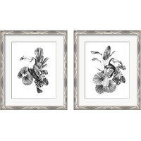 Framed 'Toucan Toile 2 Piece Framed Art Print Set' border=