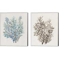 Framed 'Leaf Arrangement 2 Piece Canvas Print Set' border=