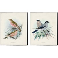 Framed 'Antique Birds 2 Piece Canvas Print Set' border=