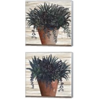 Framed 'Remarkable Succulents 2 Piece Canvas Print Set' border=