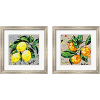 Framed 'Fruit Sketch 2 Piece Framed Art Print Set' border=