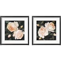 Framed 'Soft Garden Roses 2 Piece Framed Art Print Set' border=