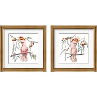 Framed 'Pink Cockatoo 2 Piece Framed Art Print Set' border=