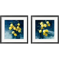 Framed 'Lemon Grove 2 Piece Framed Art Print Set' border=