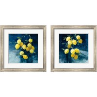 Framed 'Lemon Grove 2 Piece Framed Art Print Set' border=