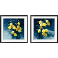 Framed 'Lemon Grove 2 Piece Framed Art Print Set' border=