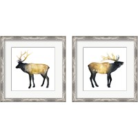 Framed 'Elk Aglow 2 Piece Framed Art Print Set' border=