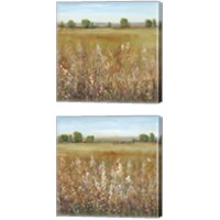 Framed 'Abundance of Wildflowers 2 Piece Canvas Print Set' border=