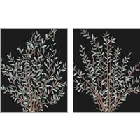 Framed 'Gunni Eucalyptus 2 Piece Art Print Set' border=