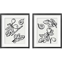 Framed 'Fig Season 2 Piece Framed Art Print Set' border=