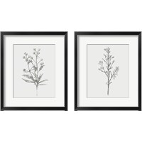 Framed 'Wild Stem 2 Piece Framed Art Print Set' border=