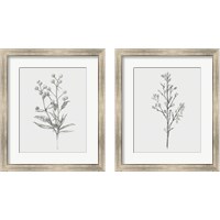 Framed 'Wild Stem 2 Piece Framed Art Print Set' border=