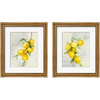 Framed 'Zest 2 Piece Framed Art Print Set' border=