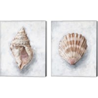 Framed 'White Shell Study 2 Piece Canvas Print Set' border=