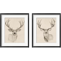 Framed 'Natural Buck 2 Piece Framed Art Print Set' border=