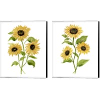 Framed 'Sunflower Trio 2 Piece Canvas Print Set' border=