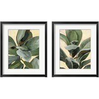 Framed 'Plant Study 2 Piece Framed Art Print Set' border=