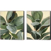 Framed 'Plant Study 2 Piece Canvas Print Set' border=