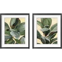 Framed 'Plant Study 2 Piece Framed Art Print Set' border=