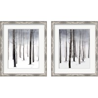 Framed 'Hazy Winter Walk 2 Piece Framed Art Print Set' border=