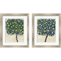 Framed 'Lemon Tree Composition 2 Piece Framed Art Print Set' border=