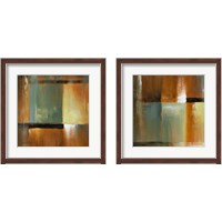 Framed 'Sonoran Shadows  2 Piece Framed Art Print Set' border=