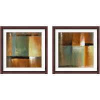 Framed 'Sonoran Shadows  2 Piece Framed Art Print Set' border=