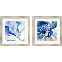 Framed 'Delicate Blue 2 Piece Framed Art Print Set' border=