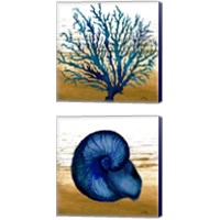 Framed 'Coastal Blue 2 Piece Canvas Print Set' border=