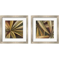 Framed 'Abanico 2 Piece Framed Art Print Set' border=