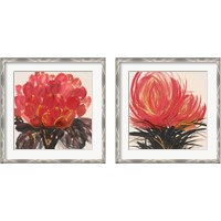 Framed 'Clover 2 Piece Framed Art Print Set' border=