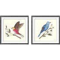 Framed 'Birds and Blossoms 2 Piece Framed Art Print Set' border=