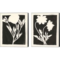 Framed 'Joyful Spring Black 2 Piece Canvas Print Set' border=